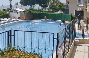 Boğulmak üzere olan çocuğu havuz görevlisi kurtardı 