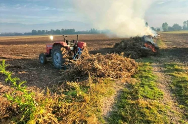 Bolu’da anız yakana hapis ve para cezası var 