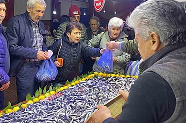 Bolu’da balık tezgahlarında hamsi bolluğu 