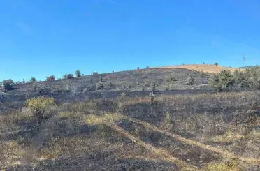 Bolu’da boş arazide yangın
