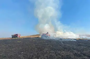 Bolu’da elektrik direğinden çıkan yangında 8 dekar alan zarar gördü
