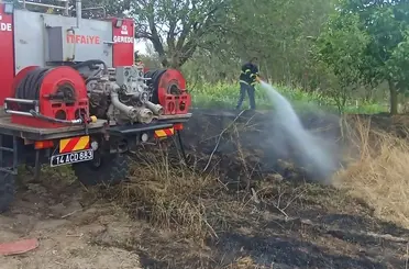 Bolu’da elektrik tellerine çarpan kuş yangına sebep oldu
