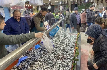 Bolu’da hamsi bolluğu sürüyor: Kilosu 200 liradan rağbet gördü 
