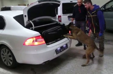 Bolu’da kaçakçılık operasyonunda 6 gözaltı 