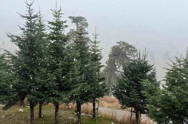 Bolu’da mevsimin ilk karı yağdı 