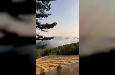 Bolu’da orman yangını 