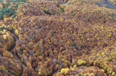 Bolu’da ormanlık alanlarda sonbahar güzelliği