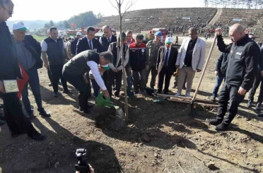 Bolu’da yanan orman yeniden yeşeriyor 