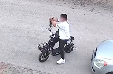 Bolu’da yavru kediyi önce öpüp sonra boğan otizmli çocuk serbest bırakıldı 