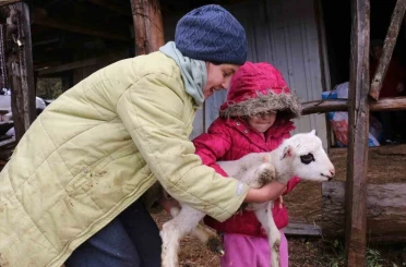 Bolu’da yaylalardan köylere göç başladı 