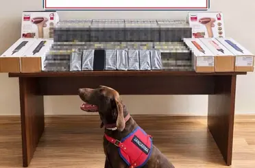 Bolu’da yolcu otobüsünde kaçak ürün ele geçirildi
