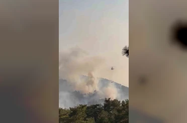 Bolu’daki orman yangını kontrol altına alındı 
