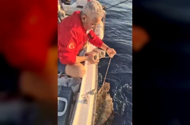 Böyle vicdansızlık görülmedi: "Deniz kaplumbağasının ayağına kaldırım taşı bağlamışlar" 