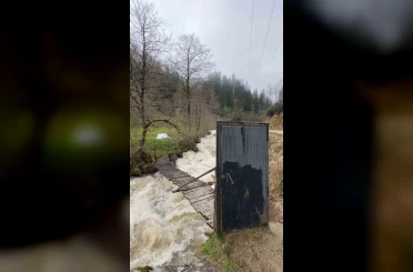 Böylesi ancak Karadeniz’de olur 