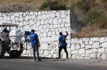 Bozdoğan’da haşereyle mücadele sürüyor
