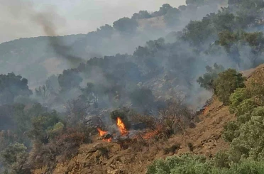 Bozdoğan’da orman yangını 