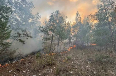 Bozyazı’da orman yangını kontrol altına alındı 