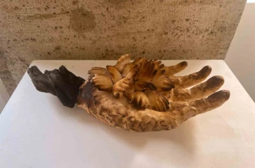 BŞEÜ’den uluslararası yarışmada büyük başarı 