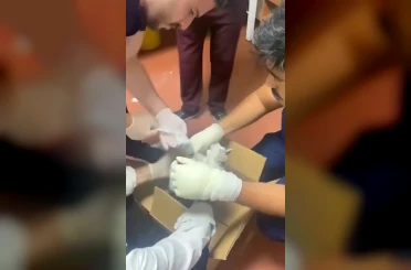 Bu kez hastaya değil, kediye müdahale 