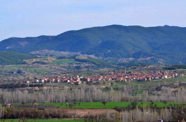 Bu köyde vatandaşlar sandık başına gitti 