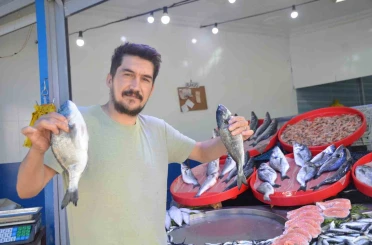 Bu yıl tezgâhların şampiyonu sardalya 