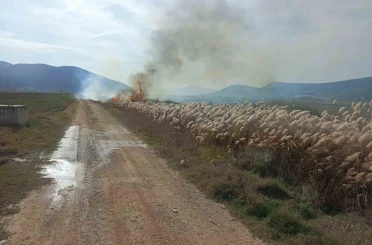 Bucak’ta sazlık alanda yangın