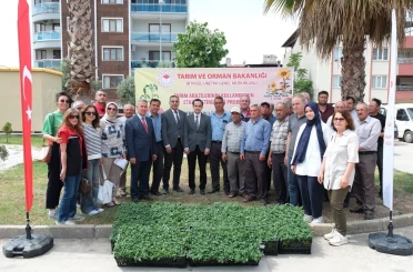 Buharkent’te 38 bin domates fidesi dağıtıldı 