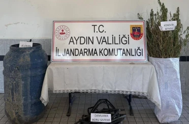 Buharkent’te 40 kök kenevir ele geçirildi 