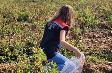 Buharkent’te hasat öncesi pestisit denetimleri sürüyor 