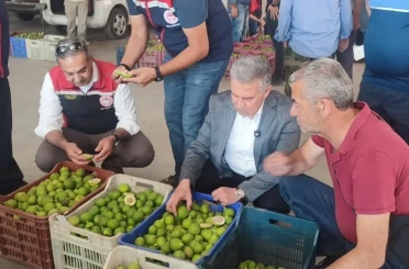 Buharkent’te ilekler, tezgahta incelendi 