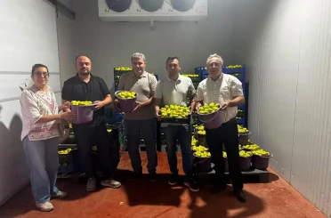 Buharkent’te incir bahçeleri ve alım noktalarında Fusarium denetimi 