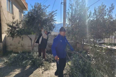 Buharkent’te kursiyerler zeytin ağaçları başında ter döktü 