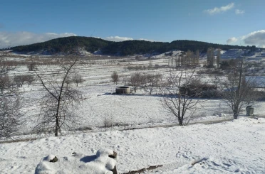 Buldan’da yılın ilk karı üreticileri sevindirdi 