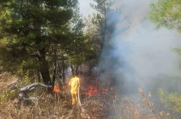 Buldan’daki orman yangınına havadan müdahale başladı