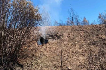 Buldan’daki yangın bölgesinde kökler yanmaya devam ediyor 