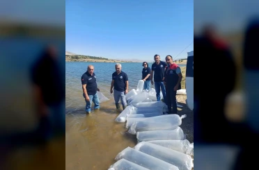 Burdur’da göl ve göletler yavru sazanlarla buluştu 