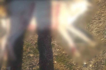 Burdur’da köpeklerin silahla öldürüldüğü iddialarına valilikten açıklama 