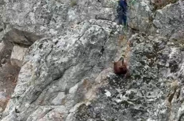 Burdur’da mahsur kalan keçiler ekipler tarafından kurtarıldı 