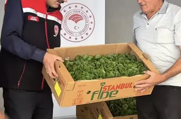 Burdur’da üreticilere 164 bin 500 marul fidesi dağıtıldı
