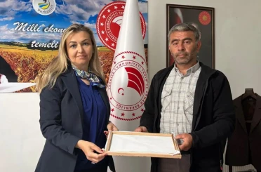 Burhaniye’de ipek böcekçiliğinde ilk kozalar hasat edildi 