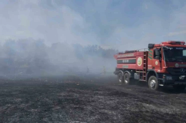 Burhaniye’de örtü yangını zeytinliklere sıçramadan kontrol altına alındı 
