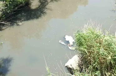Burhaniye’de Üyücek deresinde kirlilik alarmı
