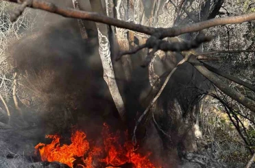 Bursa’da çıkan çalı yangını büyümeden söndürüldü 