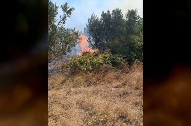 Bursa’da iki ayrı ot yangını kontrol altına alındı