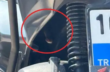 Bursa’da motosikletten çıkan yılan şoke etti
