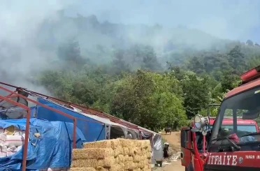 Bursa’da ormanlık alanda yangın 