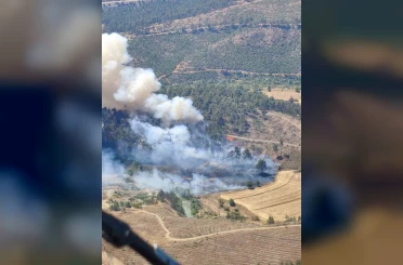 Bursa’da otluk alanda çıkan yangın ormana sıçradı 