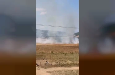 Bursa’da tarlalık alanı ateşe veren şüpheli yakalandı 