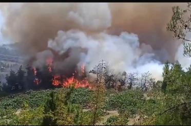 Bursa’daki orman yangını büyüyor 