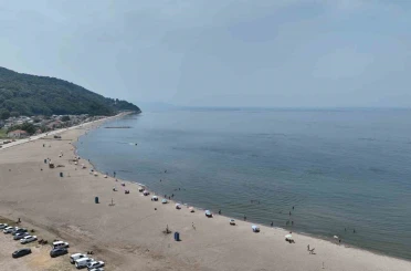 Bursa’nın sahillerinden sevindiren haber 